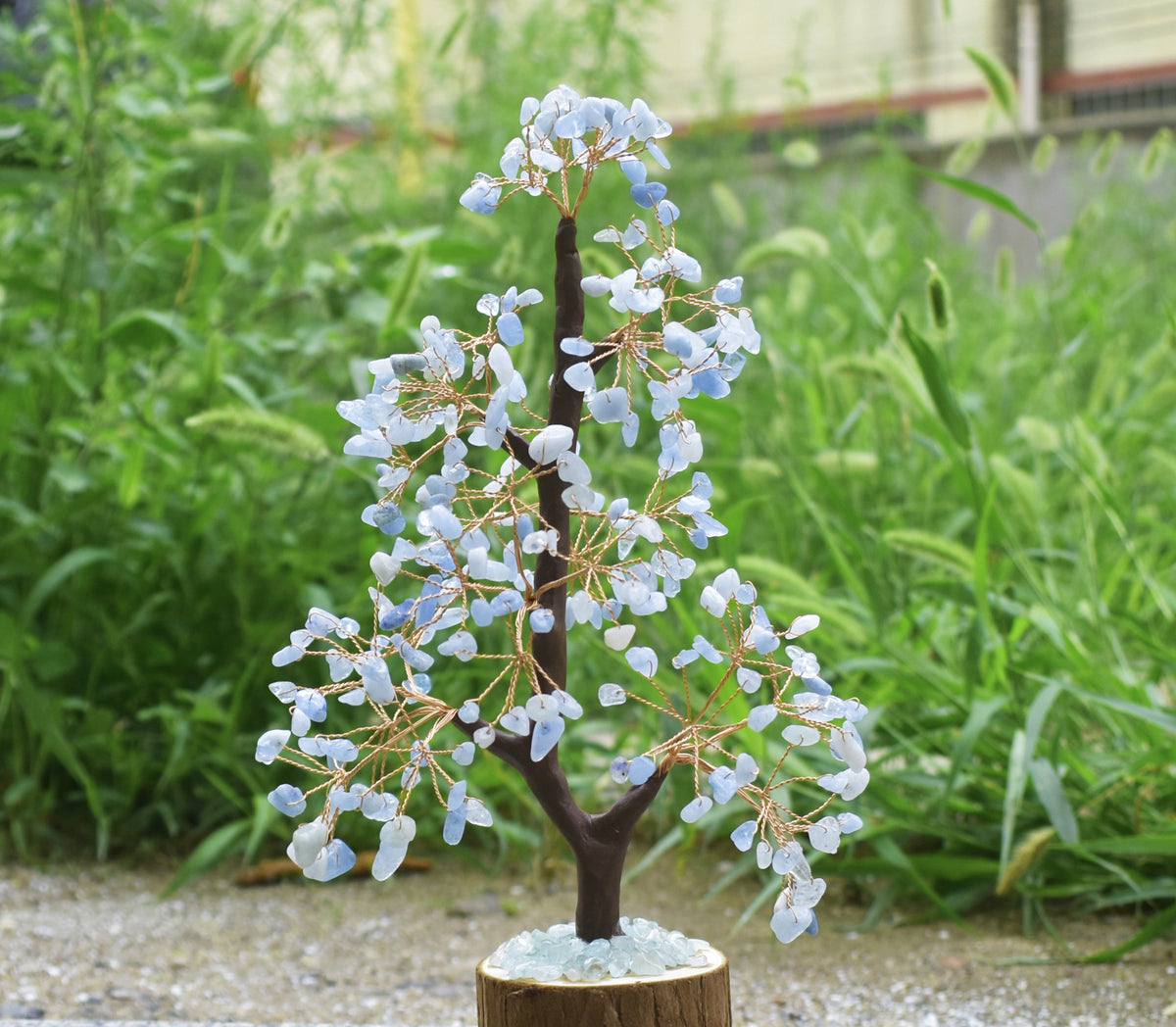Crystal Tree of Life