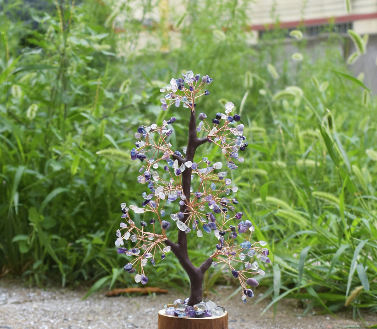 Crystal Tree of Life - Rainbow fluorite