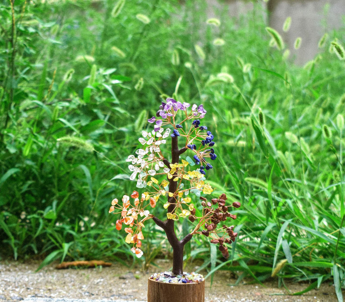 Crystal Tree of Life