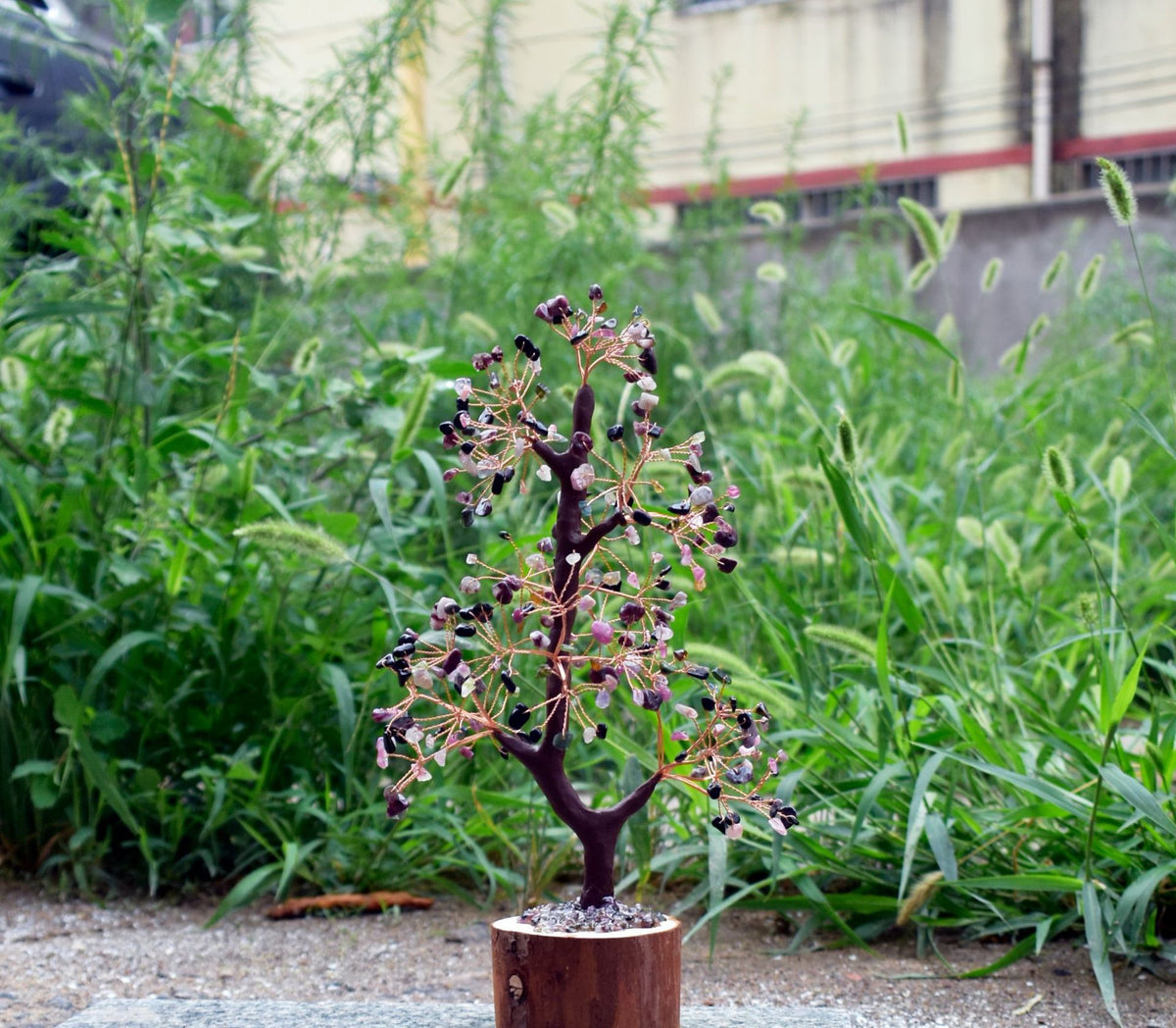 Crystal Tree of Life