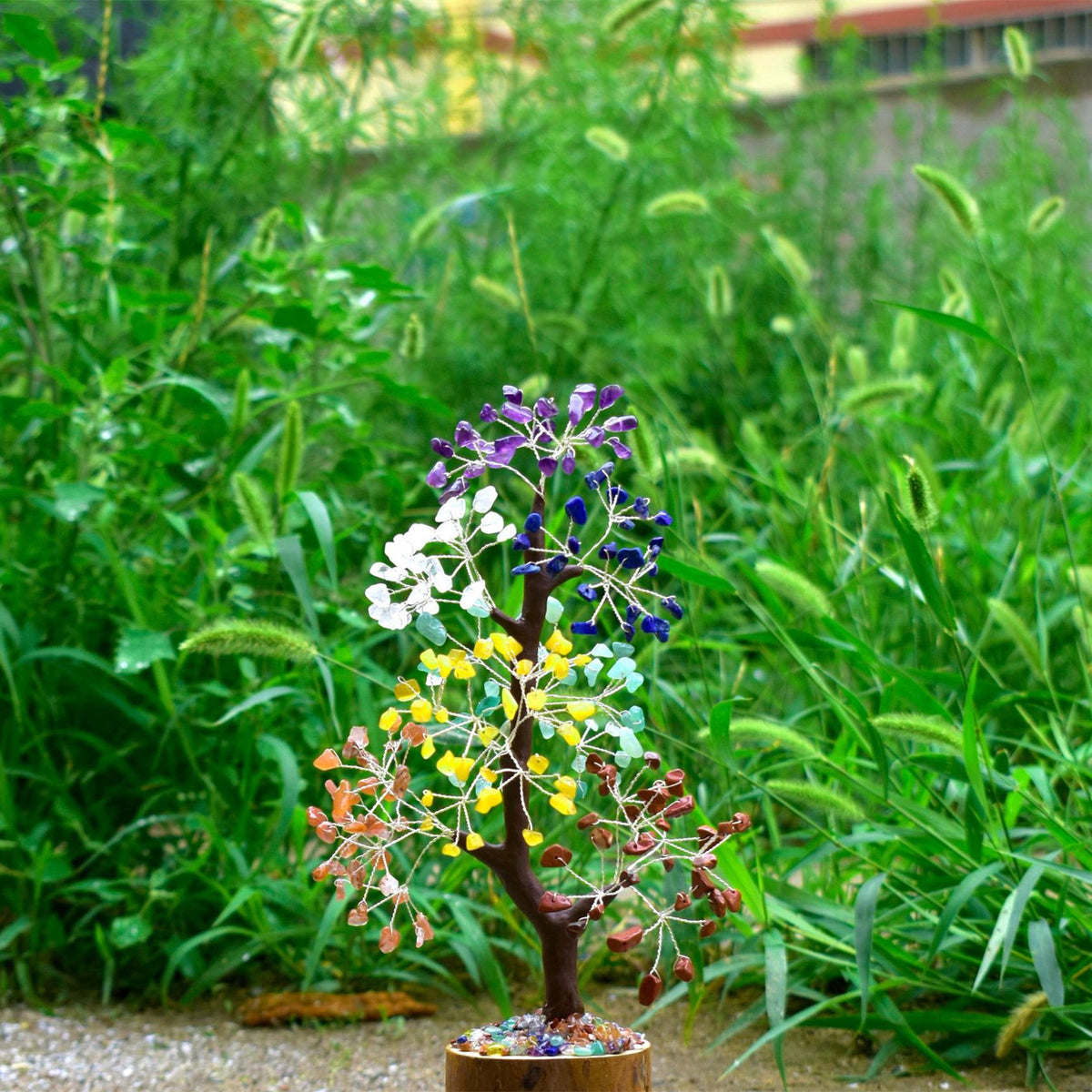 Crystal Tree of Life