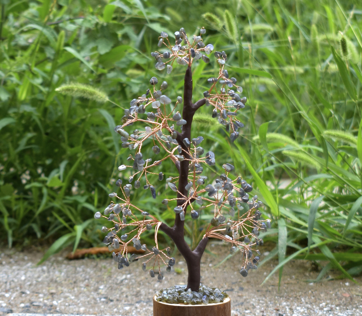 Crystal Tree of Life - Labradorite